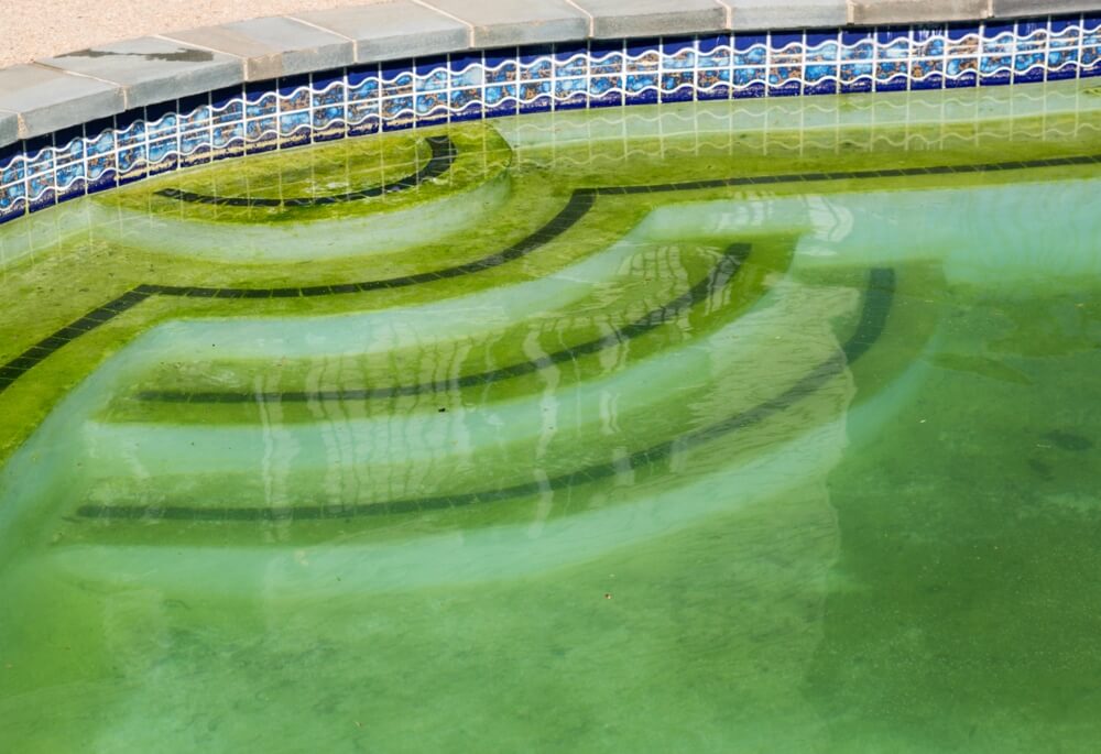 Swimming Pool With Green Water