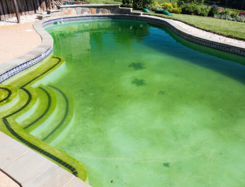 How to Clean a Green Swimming Pool?