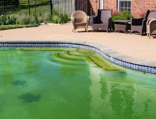 Is It Safe to Swim in Green Pool Water?